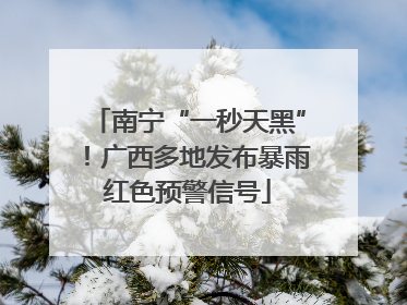 南宁“一秒天黑”！广西多地发布暴雨红色预警信号