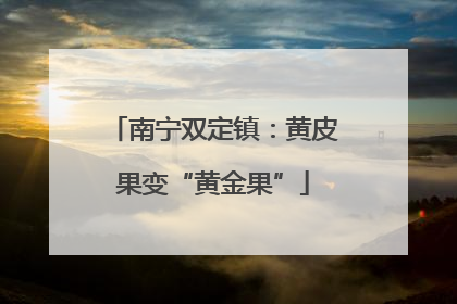 南宁双定镇：黄皮果变“黄金果”