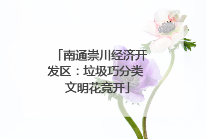 南通崇川经济开发区：垃圾巧分类 文明花竞开