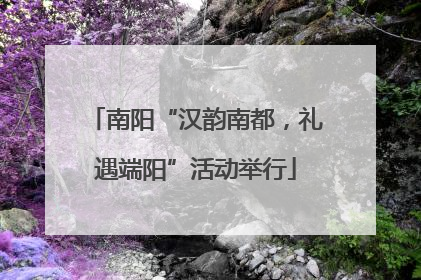 南阳“汉韵南都，礼遇端阳”活动举行