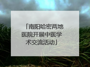 南阳哈密两地医院开展中医学术交流活动
