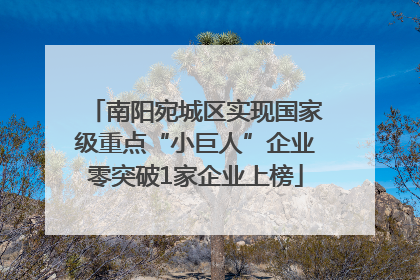 南阳宛城区实现国家级重点“小巨人”企业零突破1家企业上榜