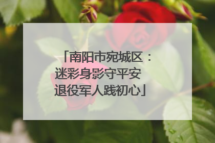 南阳市宛城区：迷彩身影守平安 退役军人践初心