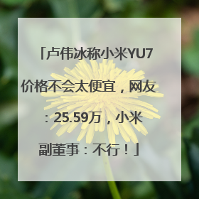 卢伟冰称小米YU7价格不会太便宜，网友：25.59万，小米副董事：不行！