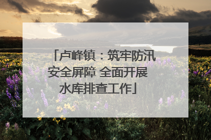 卢峰镇：筑牢防汛安全屏障 全面开展水库排查工作