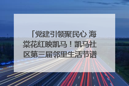 党建引领聚民心 海棠花红映凯马！凯马社区第三届邻里生活节谱写幸福新篇章