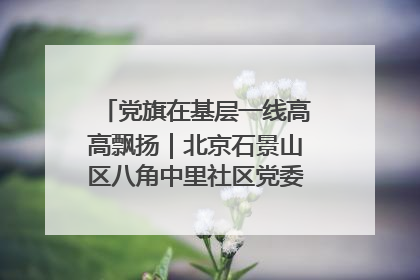 党旗在基层一线高高飘扬｜北京石景山区八角中里社区党委：用脚步丈量民生