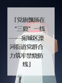 党旗飘扬在“三夏”一线——宛城区溧河街道党群合力筑牢禁烧防线