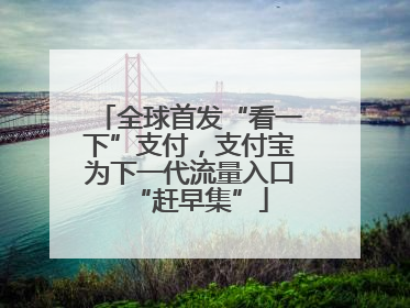 全球首发“看一下”支付，支付宝为下一代流量入口“赶早集”