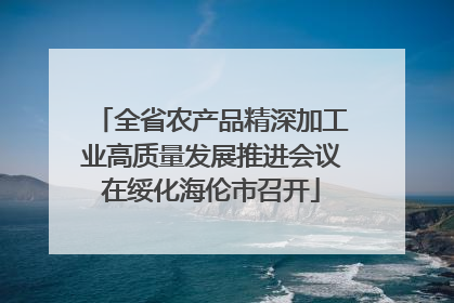 全省农产品精深加工业高质量发展推进会议在绥化海伦市召开