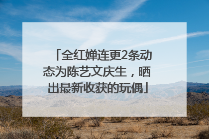全红婵连更2条动态为陈艺文庆生，晒出最新收获的玩偶