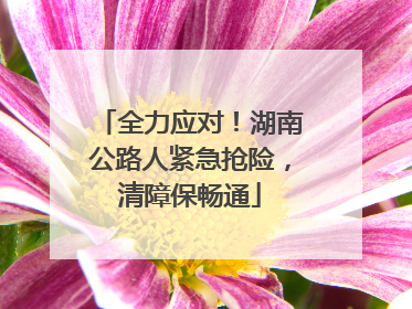 全力应对！湖南公路人紧急抢险，清障保畅通