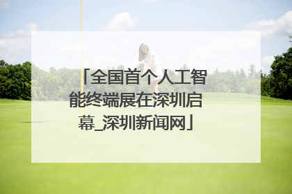 全国首个人工智能终端展在深圳启幕_深圳新闻网