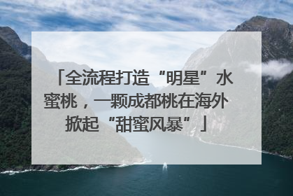 全流程打造“明星”水蜜桃，一颗成都桃在海外掀起“甜蜜风暴”