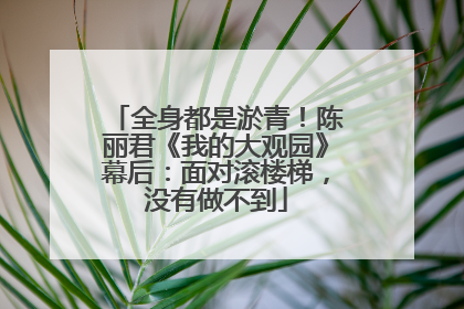 全身都是淤青！陈丽君《我的大观园》幕后：面对滚楼梯，没有做不到