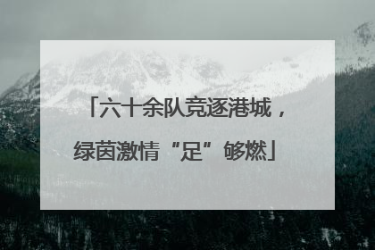 六十余队竞逐港城，绿茵激情“足”够燃