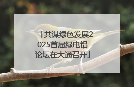 共谋绿色发展2025首届绿电铝论坛在大通召开