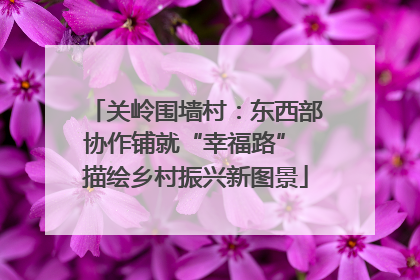 关岭围墙村：东西部协作铺就“幸福路” 描绘乡村振兴新图景