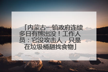 内蒙古一镇政府连续多日有熊出没！工作人员：它没攻击人，只是在垃圾桶翻找食物