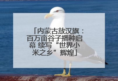 内蒙古敖汉旗：百万亩谷子播种启幕 续写“世界小米之乡”辉煌