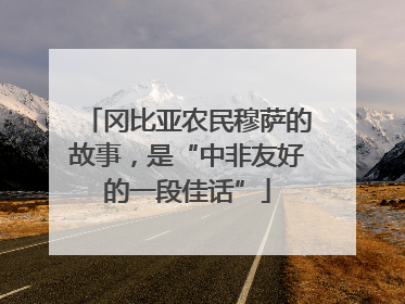 冈比亚农民穆萨的故事，是“中非友好的一段佳话”