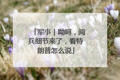 军事｜呦呵，阅兵细节来了，看特朗普怎么说