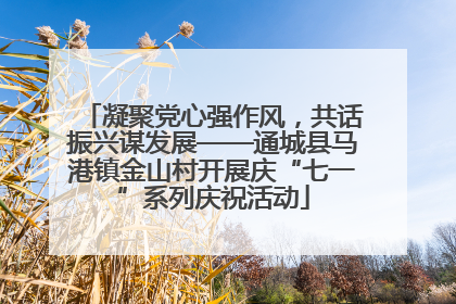 凝聚党心强作风，共话振兴谋发展——通城县马港镇金山村开展庆“七一”系列庆祝活动