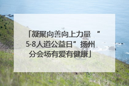 凝聚向善向上力量 “5·8人道公益日”扬州分会场有爱有健康