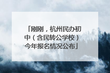 刚刚，杭州民办初中（含民转公学校）今年报名情况公布