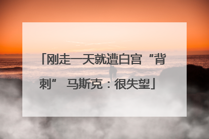 刚走一天就遭白宫“背刺” 马斯克：很失望