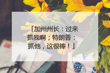 加州州长：过来抓我啊；特朗普：抓他，这很棒！