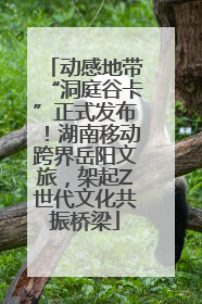 动感地带“洞庭谷卡”正式发布！湖南移动跨界岳阳文旅，架起Z世代文化共振桥梁