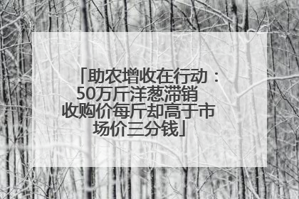 助农增收在行动：50万斤洋葱滞销 收购价每斤却高于市场价三分钱