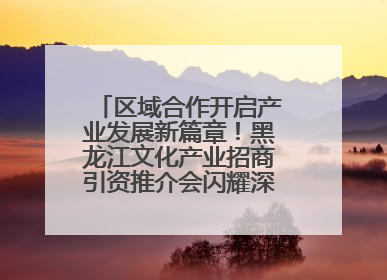 区域合作开启产业发展新篇章！黑龙江文化产业招商引资推介会闪耀深圳文博会