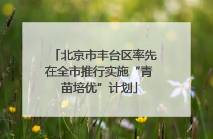 北京市丰台区率先在全市推行实施“青苗培优”计划