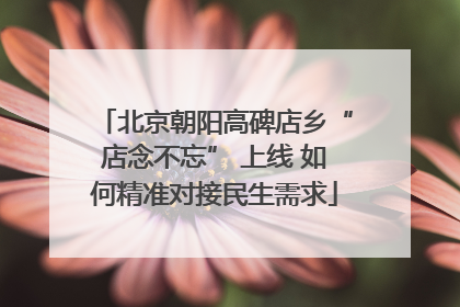 北京朝阳高碑店乡“店念不忘” 上线 如何精准对接民生需求