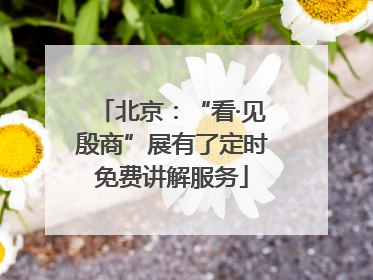 北京：“看·见殷商”展有了定时免费讲解服务