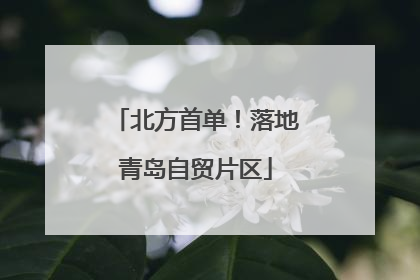 北方首单！落地青岛自贸片区