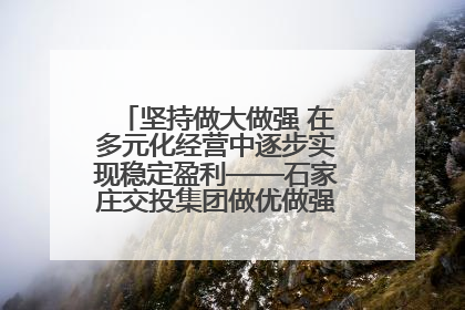 坚持做大做强 在多元化经营中逐步实现稳定盈利——石家庄交投集团做优做强典型报道之三