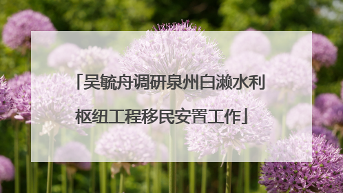 吴毓舟调研泉州白濑水利枢纽工程移民安置工作