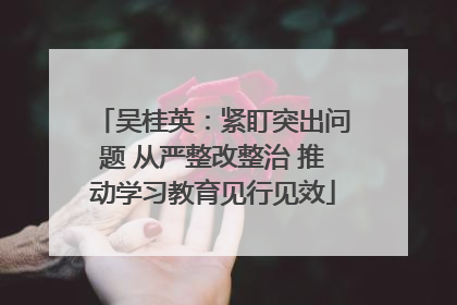 吴桂英：紧盯突出问题 从严整改整治 推动学习教育见行见效