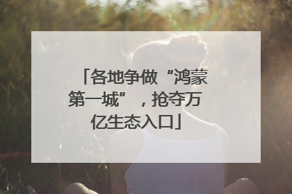各地争做“鸿蒙第一城”，抢夺万亿生态入口