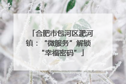 合肥市包河区淝河镇：“微服务”解锁“幸福密码”