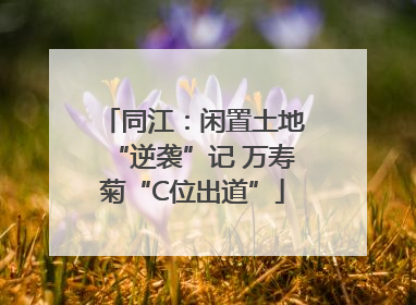 同江：闲置土地“逆袭”记 万寿菊“C位出道”