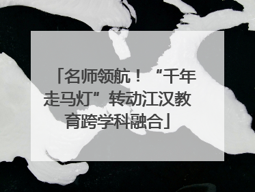 名师领航！“千年走马灯”转动江汉教育跨学科融合