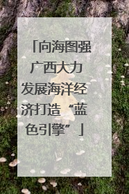 向海图强 广西大力发展海洋经济打造“蓝色引擎”
