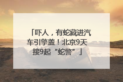 吓人，有蛇藏进汽车引擎盖！北京9天接9起“蛇警”