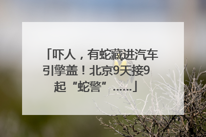 吓人，有蛇藏进汽车引擎盖！北京9天接9起“蛇警”……