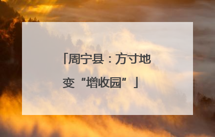 周宁县：方寸地变“增收园”
