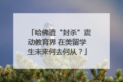 哈佛遭“封杀”震动教育界 在美留学生未来何去何从？